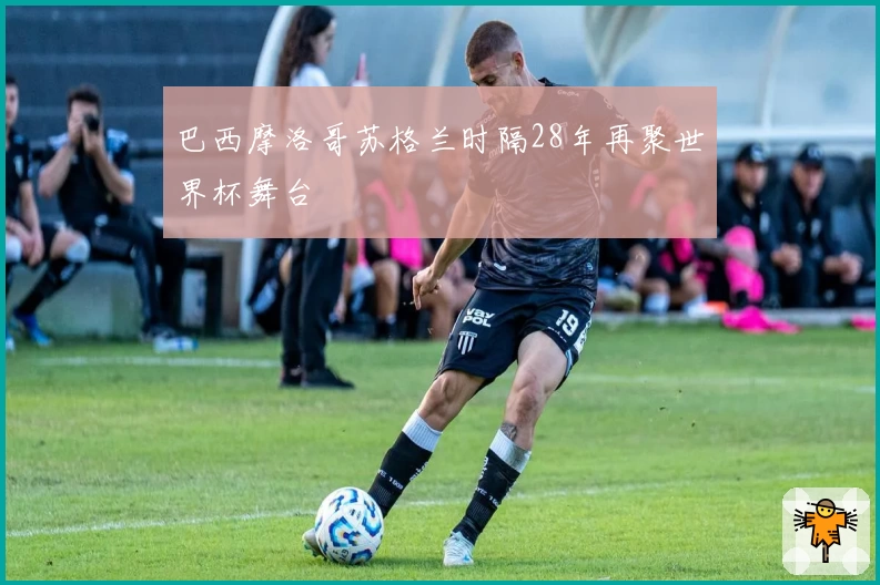 巴西摩洛哥苏格兰时隔28年再聚世界杯舞台