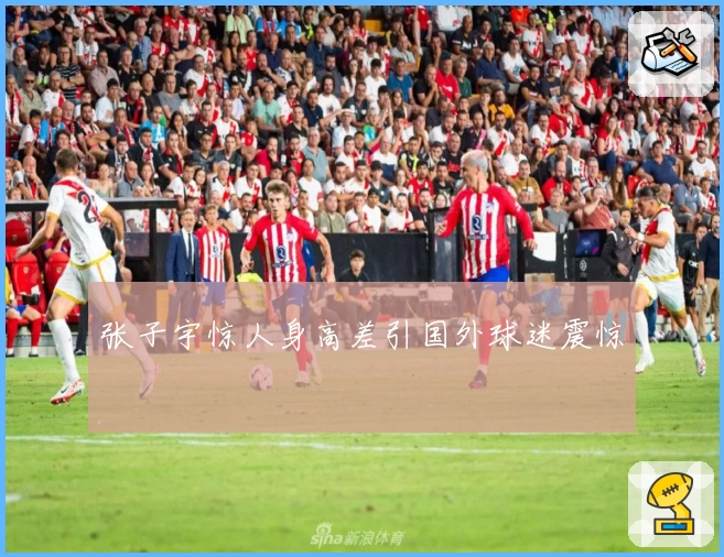 张子宇惊人身高差引国外球迷震惊
