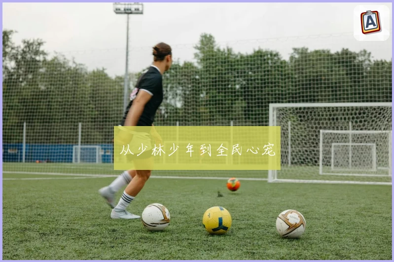 从少林少年到全民心宠